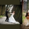 Hochzeit2009_021.jpg
